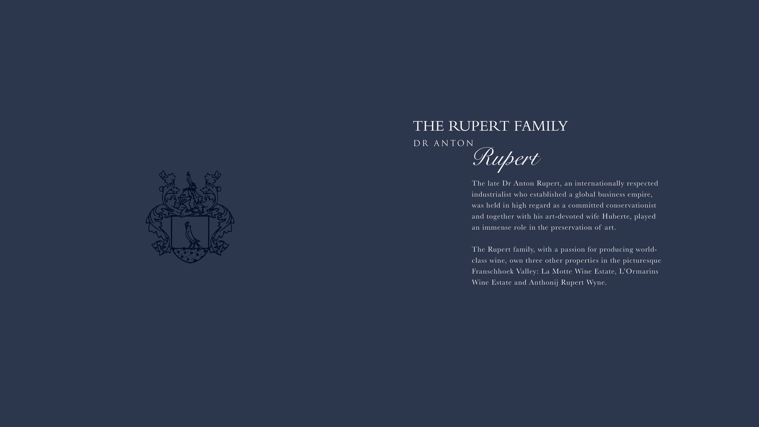 R&R CI - WEBSITE Digital Case Study13.jpg