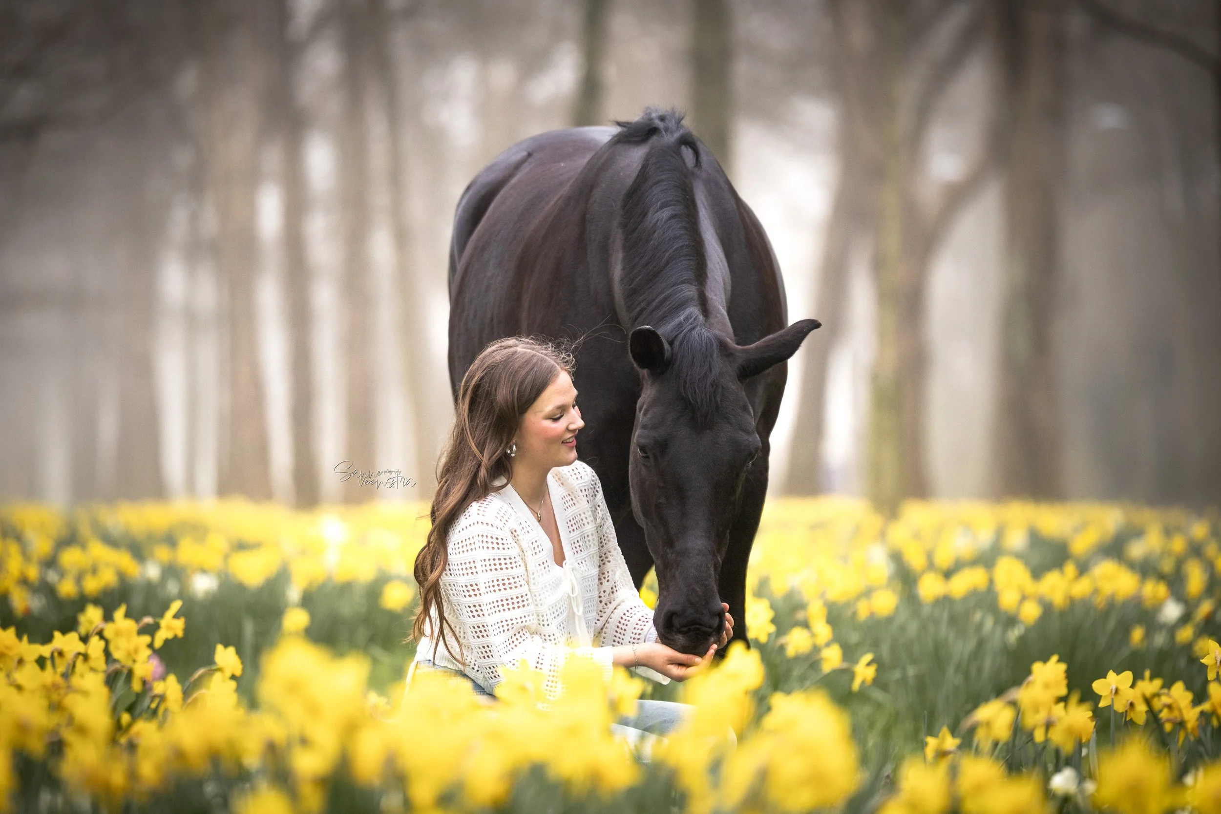 PORTFOLIODAG NARCISSEN