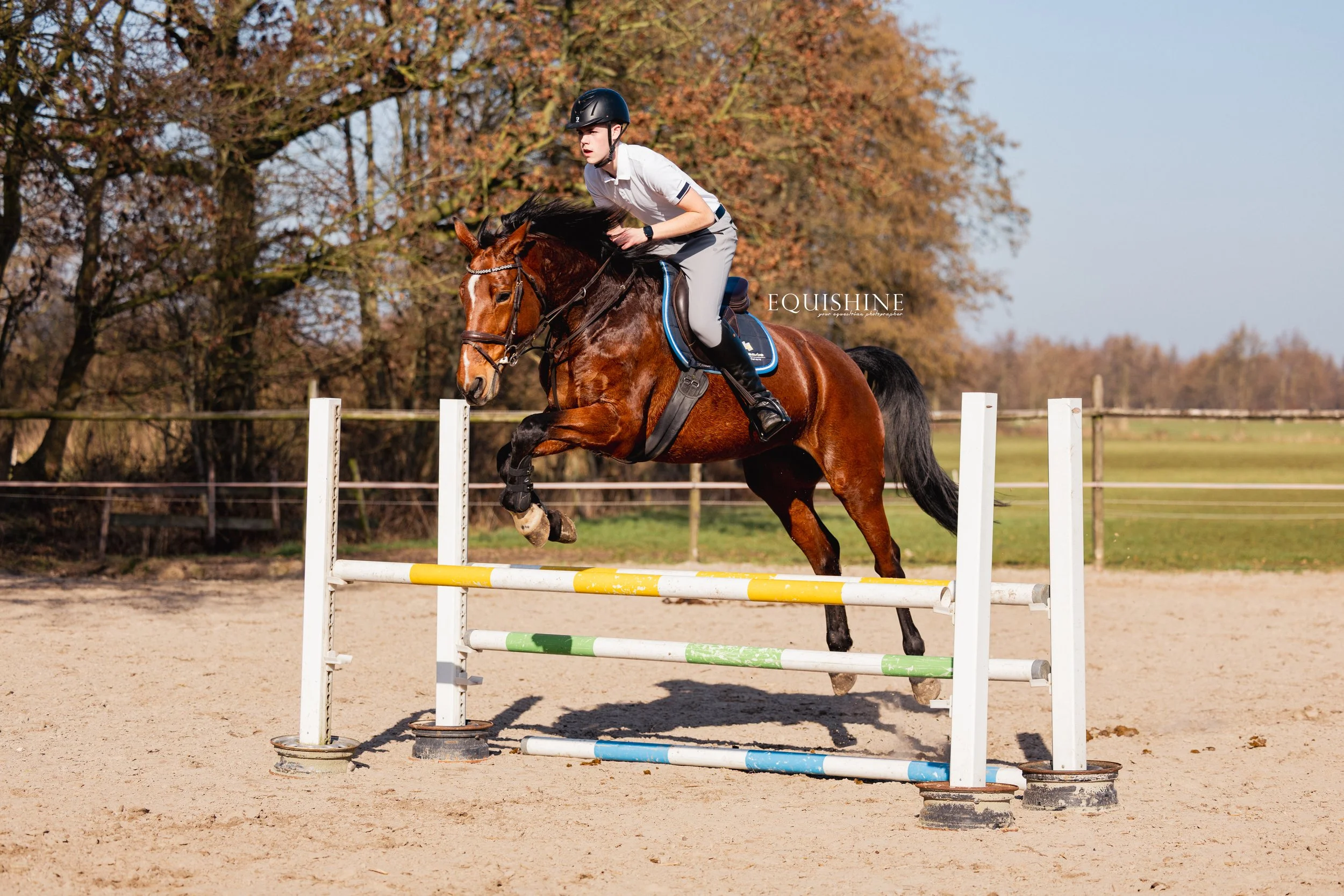A rider in a white shirt and helmet riding a brown horse with a black mane and tail over a colorful jump in an outdoor equestrian arena.
