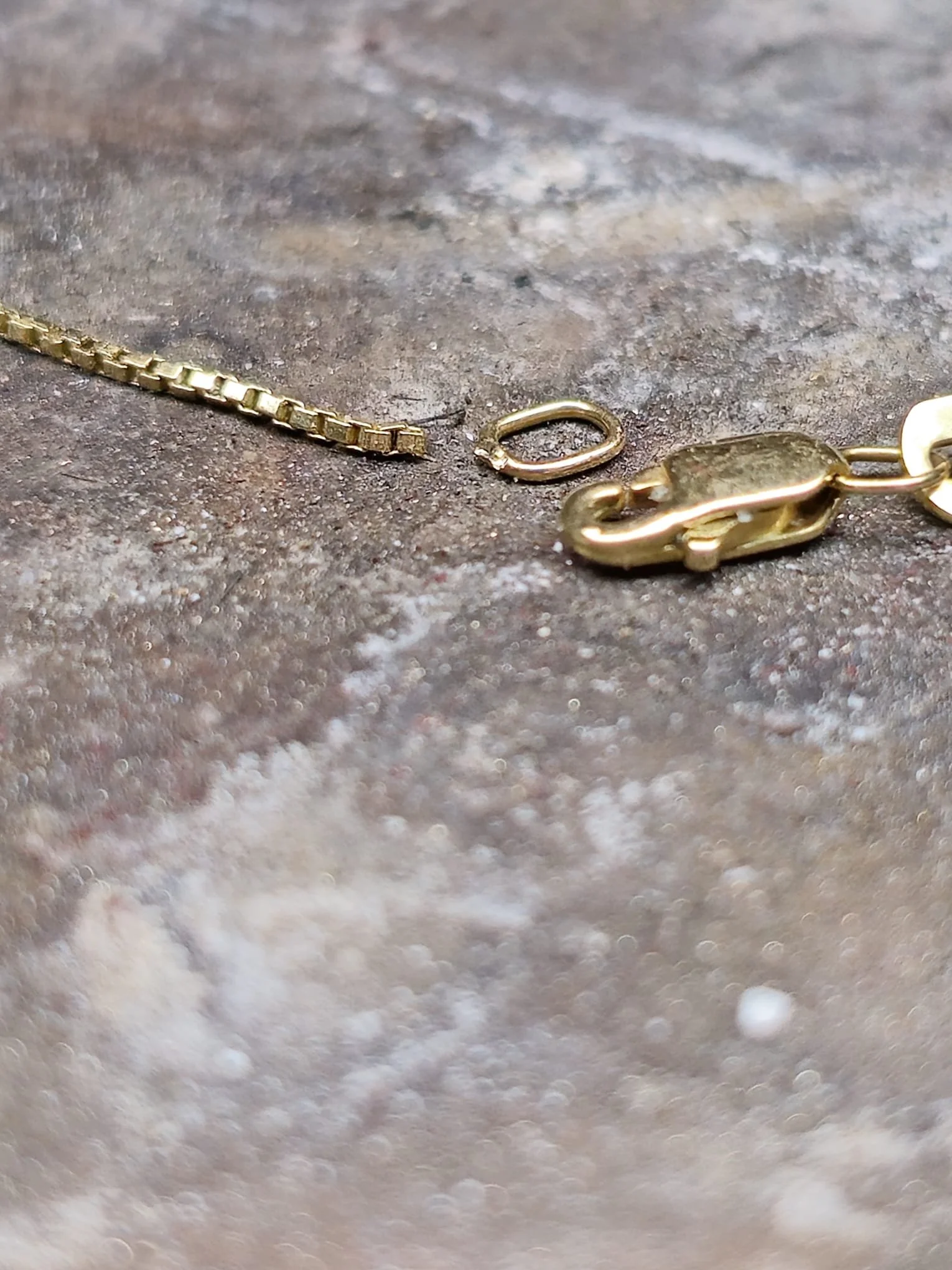 WhatsApp Image 2025-05-16 at 2.02.51 PM.jpeg