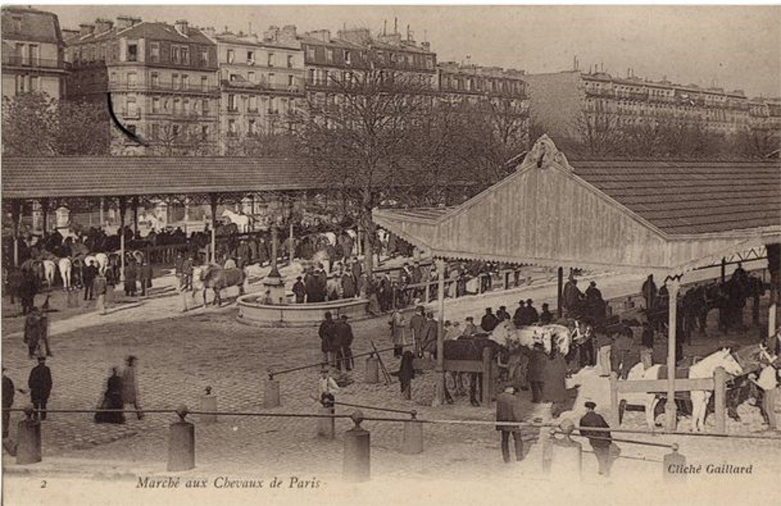 Black and white photo of a horse market in Paris with horses, carriages, and vendors, with apartment buildings in the background.