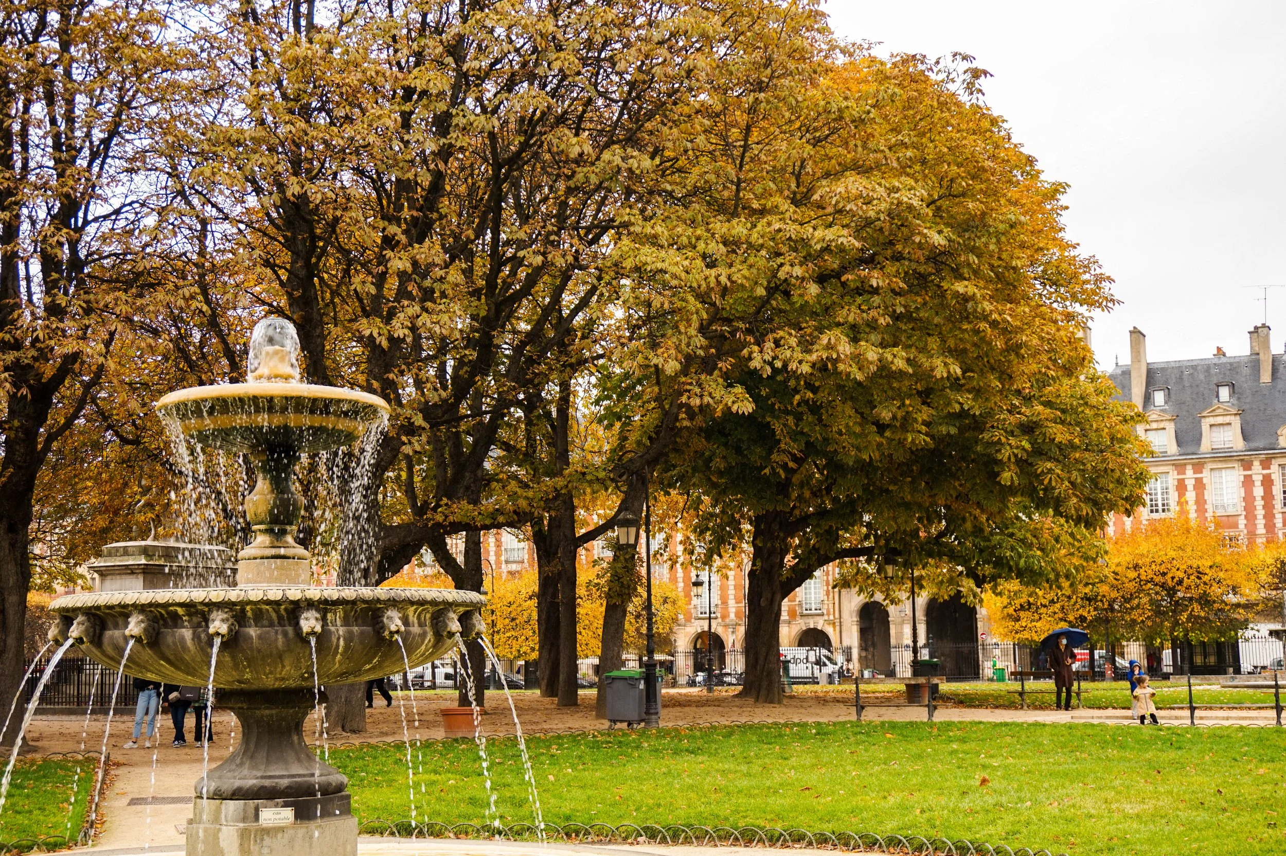 A park scene with a fountain, trees with autumn foliage, and people walking, some with umbrellas, in front of historic buildings.