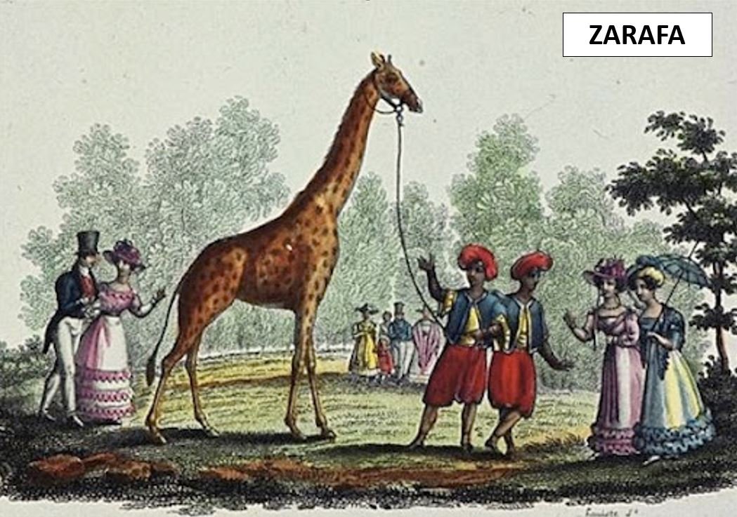 Zarafa, the Girafe