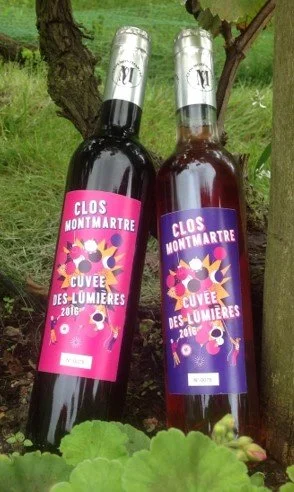 Two bottles of wine labeled 'Clos Montmartre Cuvée des Lumières 2016' placed outdoors near a tree and green foliage.