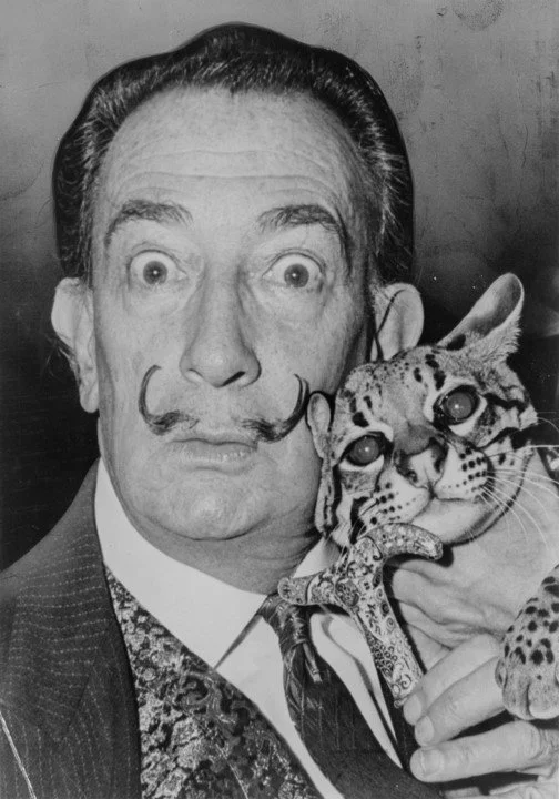 A man with a surprised expression, styled with a mustache, holding a small jaguar cub close to his face.