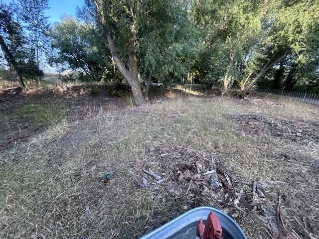 IMG_9015 Medium.jpeg