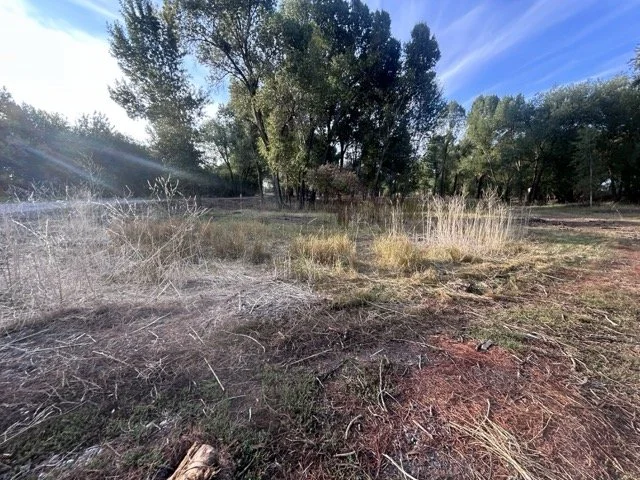 IMG_9020 Medium.jpeg