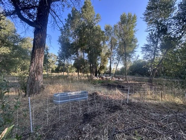 IMG_8902 Medium.jpeg