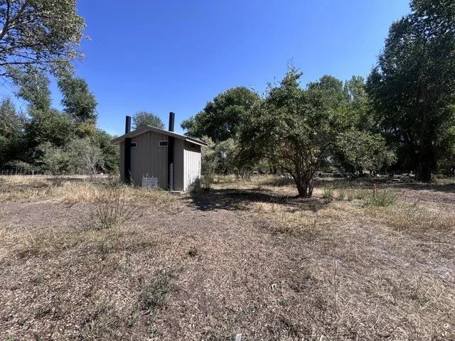 IMG_8894 Medium.jpeg