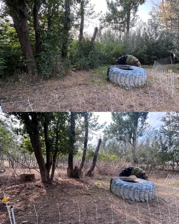 Who are we? We&rsquo;re Goat Grazers and Site Services &ndash; your land-clearing partners with hooves and heart!

We&rsquo;re a family-run business that uses our hardworking herd of goats to provide natural, eco-friendly brush and weed control. Whet