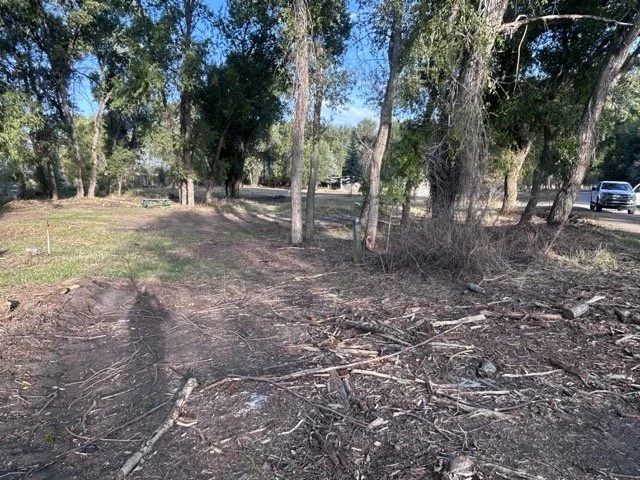 IMG_9040 Medium.jpeg