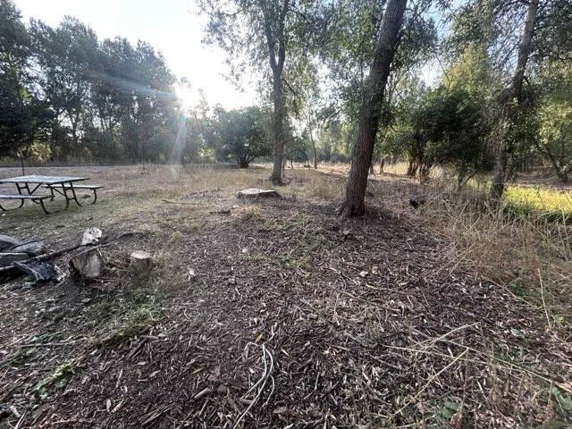 IMG_9010 Medium.jpeg