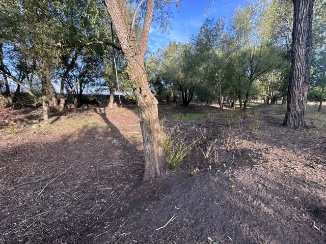 IMG_9027 Medium.jpeg