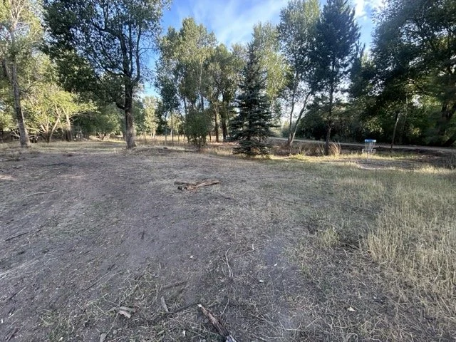 IMG_9032 Medium.jpeg