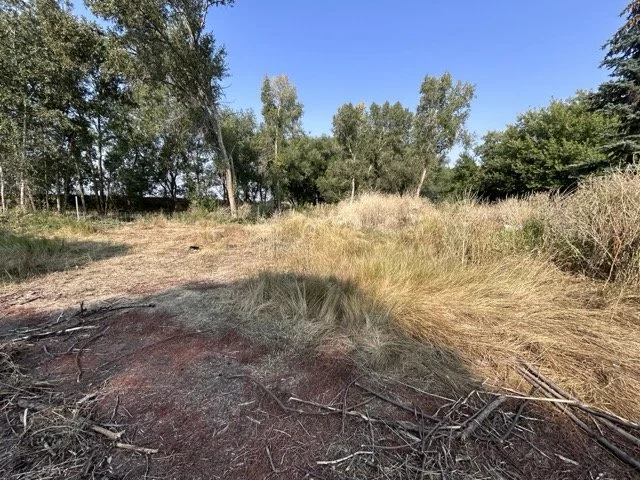 IMG_8929 Medium.jpeg