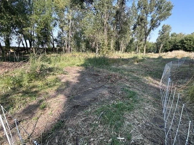 IMG_8931 Medium.jpeg