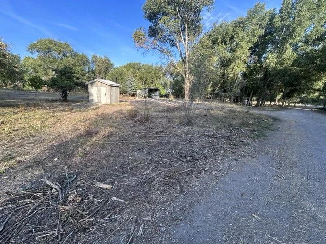 IMG_9036 Medium.jpeg