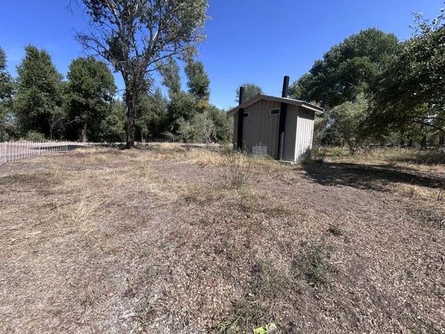 IMG_8895 Medium.jpeg