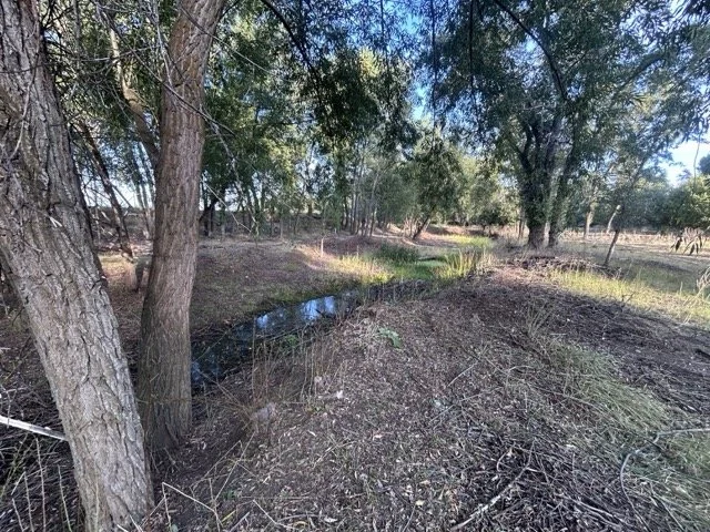 IMG_9025 Medium.jpeg