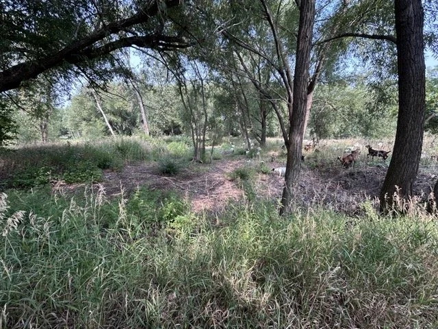 IMG_8990 Medium.jpeg