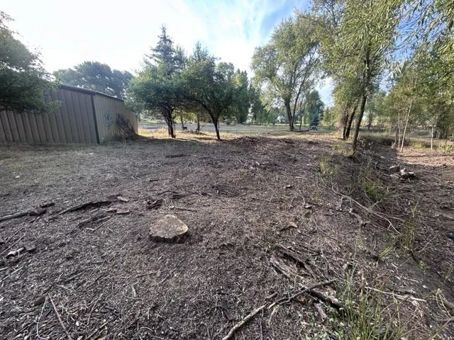 IMG_9030 Medium.jpeg