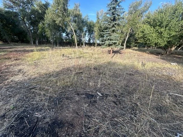 IMG_9019 Medium.jpeg