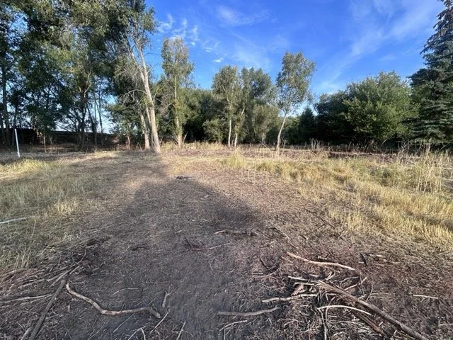 IMG_9021 Medium.jpeg