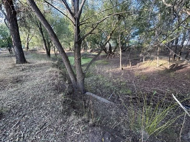 IMG_9026 Medium.jpeg