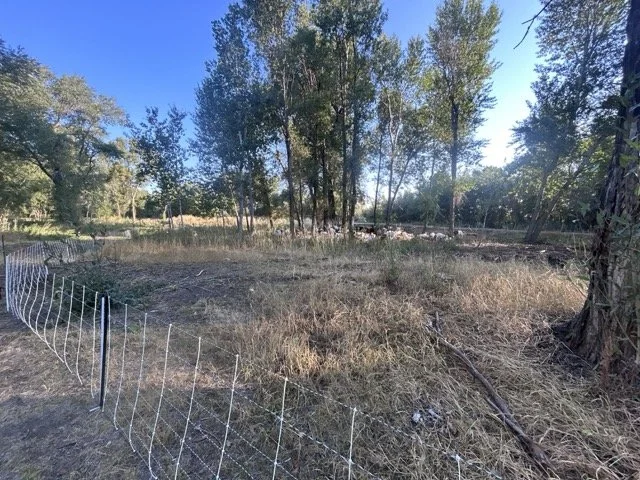 IMG_8901 Medium.jpeg