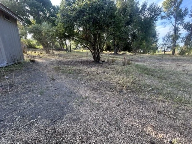 IMG_9035 Medium.jpeg