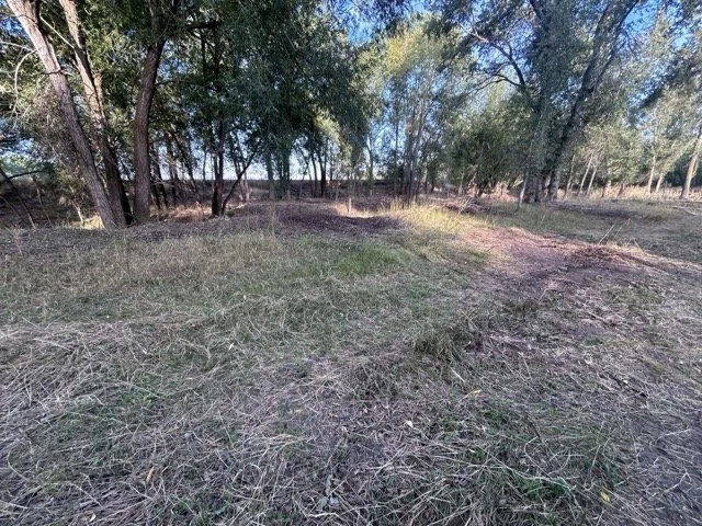 IMG_9024 Medium.jpeg