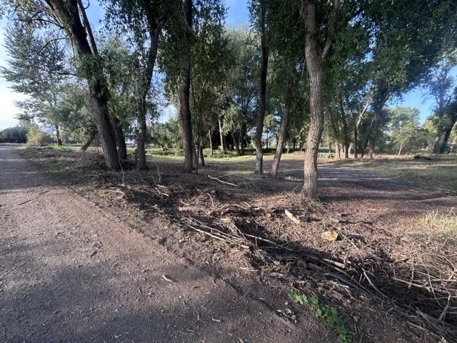 IMG_9039 Medium.jpeg