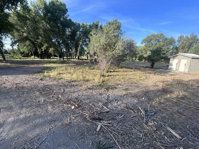 IMG_9037 Medium.jpeg