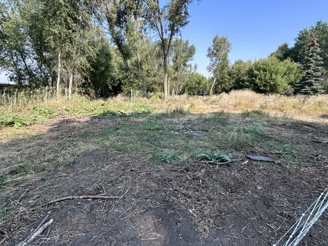 IMG_8930 Medium.jpeg