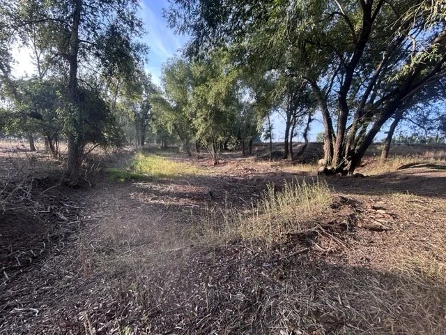 IMG_9009 Medium.jpeg