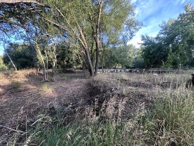 IMG_9008 Medium.jpeg