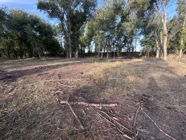 IMG_9022 Medium.jpeg