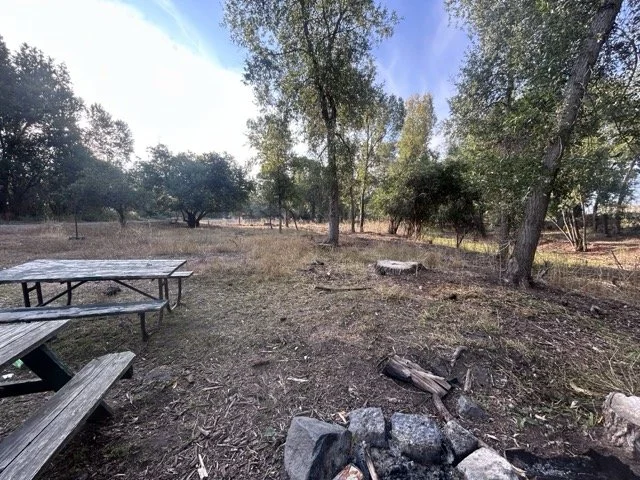 IMG_9011 Medium.jpeg