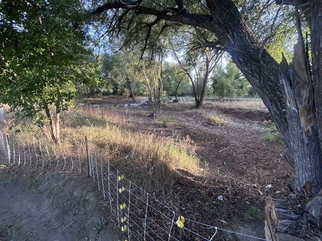 IMG_9005 Medium.jpeg