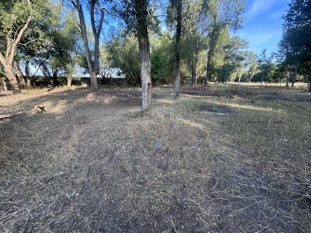 IMG_9031 Medium.jpeg