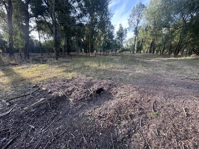 IMG_9023 Medium.jpeg