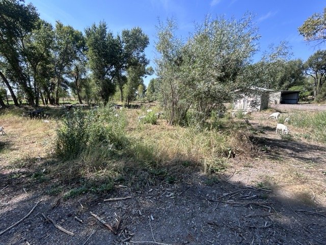 IMG_8891 Medium.jpeg