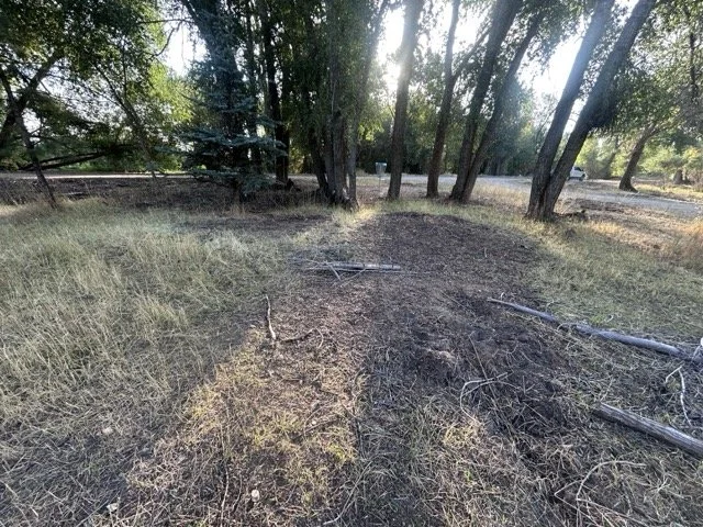 IMG_9033 Medium.jpeg