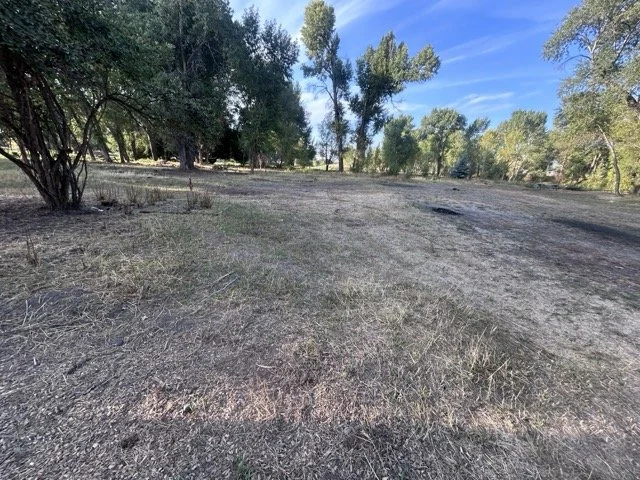 IMG_9034 Medium.jpeg