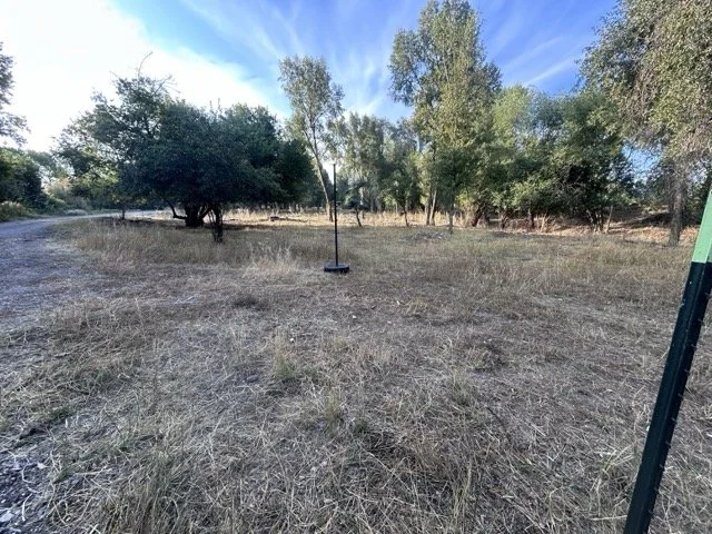 IMG_9012 Medium.jpeg