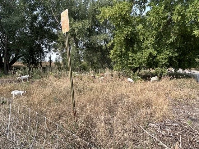 IMG_8989 Medium.jpeg