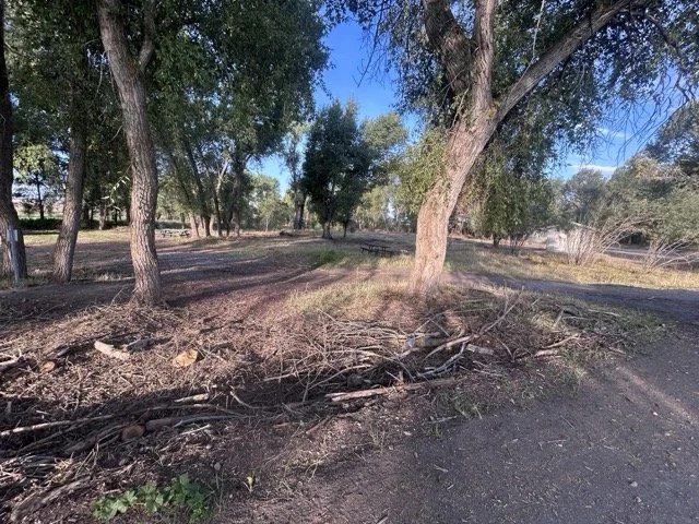 IMG_9038 Medium.jpeg