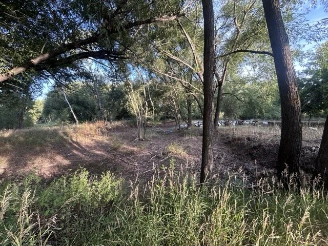 IMG_9007 Medium.jpeg