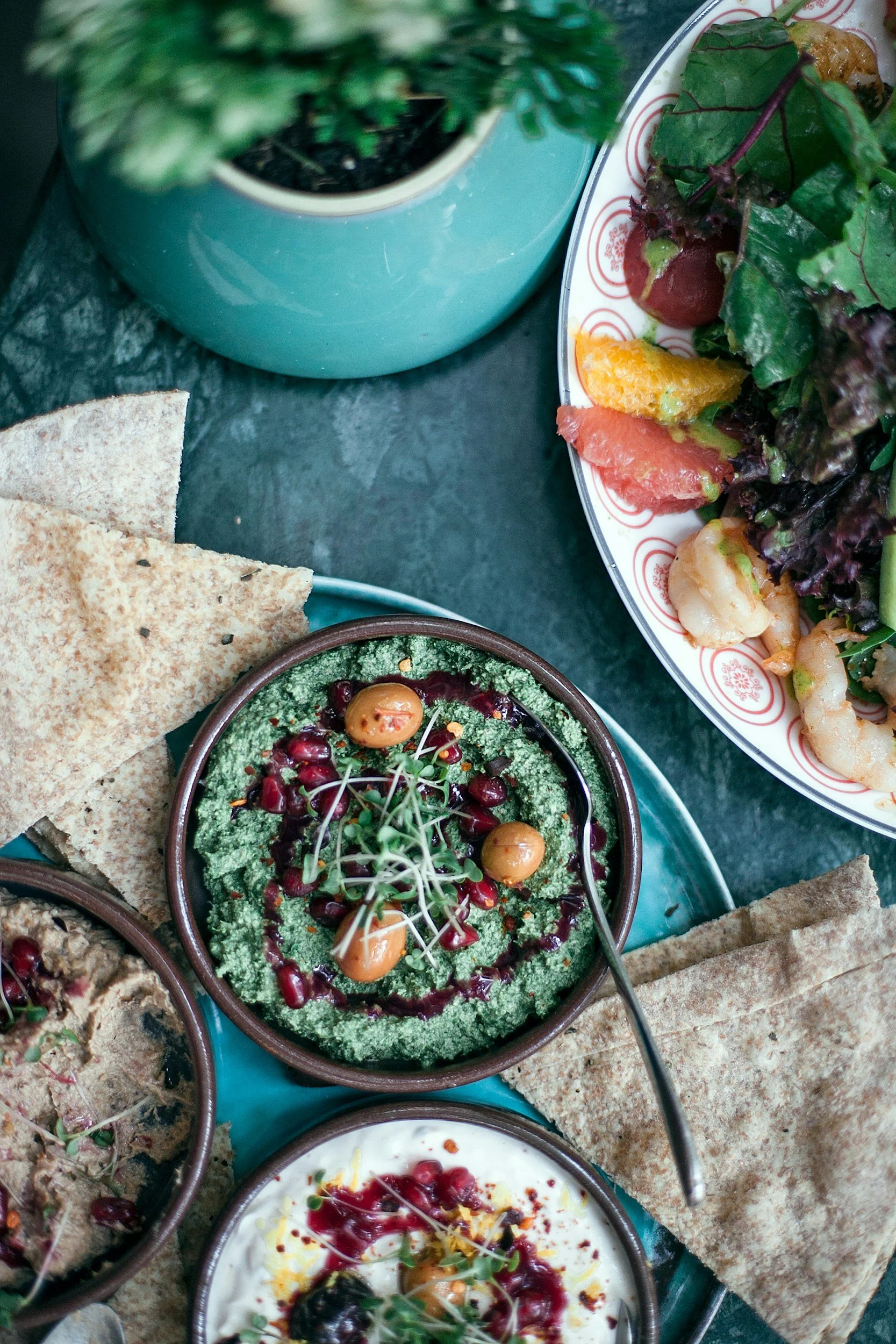 A top-down view of variou dishes, including flatbread, hummus or baba ganoush topped with pomegranate and microgreens, a colorful salad with greens, shrimp, and citrus, all served on decorative plates with a teal serving tray and a potted plant in a teal pot.