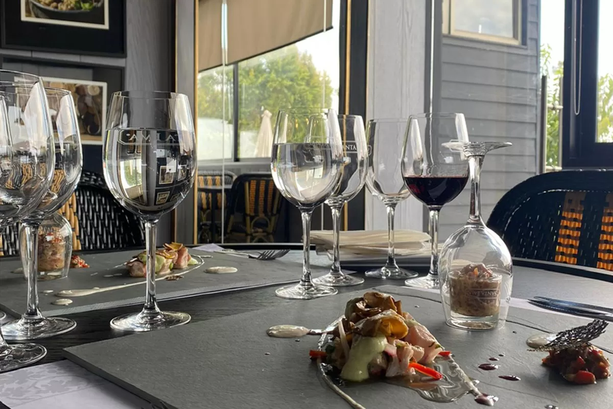 A dining table set with multiple wine glasses, some with red wine, and small plates of appetizers or salad, in a room with large windows showing outdoor greenery.